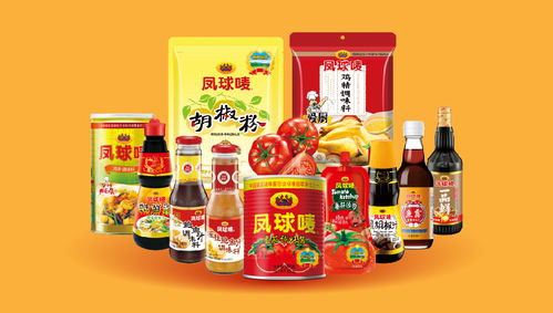 鳳球嘜 以戰略重塑品牌，用視覺點燃味蕾——調味品行業品牌全案策劃解析